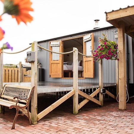 Rose Villa Rhayader Bagian luar foto