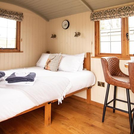 Rose Villa Rhayader Bagian luar foto