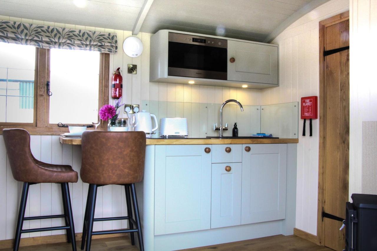 Rose Villa Rhayader Bagian luar foto